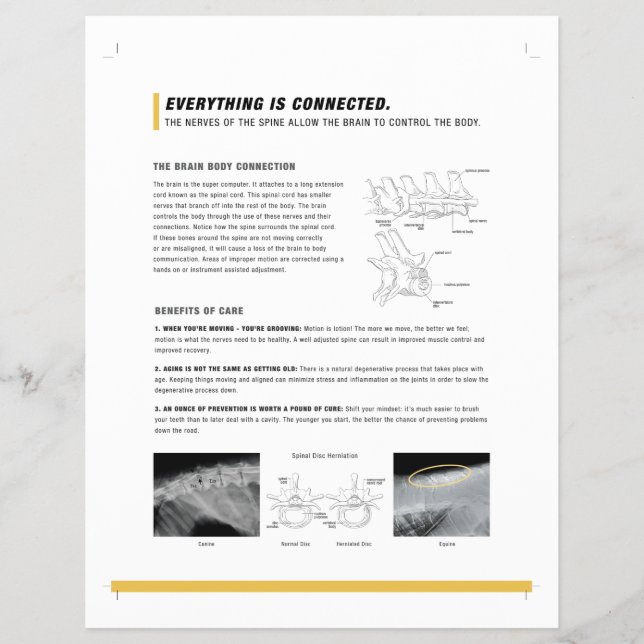 ROF-blad (hund + häst) Reklamblad (Framsidan)