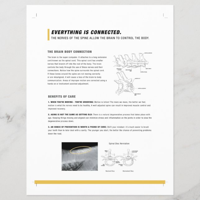 ROF Flyer (häst) (Framsidan)