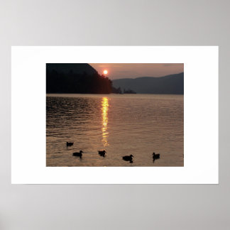 ROGERS STEN SJÖ GEORGE NY POSTER