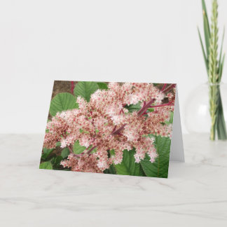 Rogersia blomma tomma Notecard Kort
