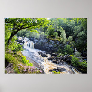 Rogie Falls, Skottland Poster