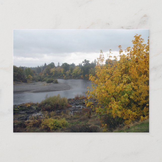 Rogue River, Grants Pass. Eller. Vykort (Framsida)