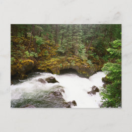 Rogue River Lava Tube Vykort
