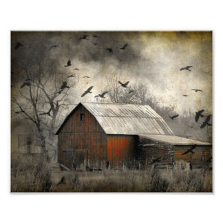 Roguish Ravens Skapat en Crownado Fototryck