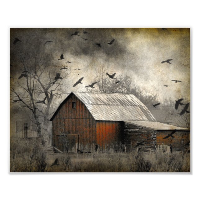 Roguish Ravens Skapat en Crownado Fototryck (Framsidan)