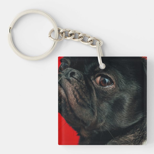 rojo hund (Framsidan)