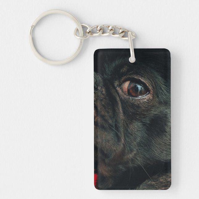 rojo hund (Framsidan)