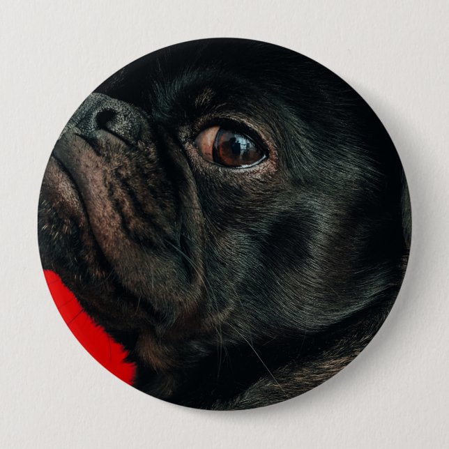rojo hund knapp (Framsida)