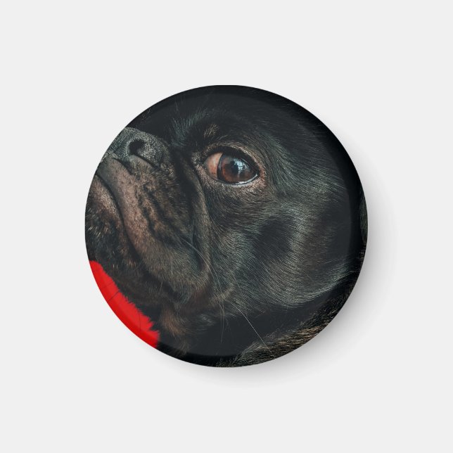 rojo hund magnet (Framsidan)