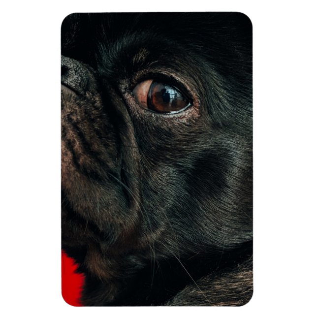 rojo hund magnet (Vertikal)