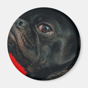rojo hund magnet