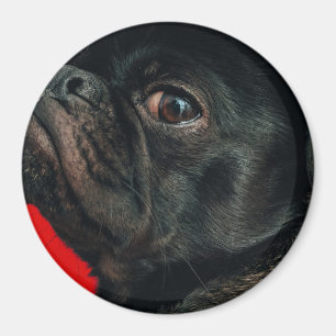 rojo hund magnet
