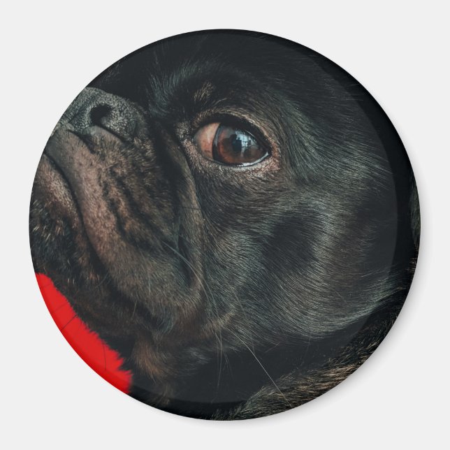 rojo hund magnet (Framsidan)