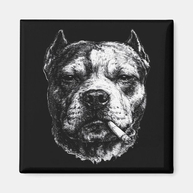 Rökande Pitbull, Roligt Cigarett Rökande Hund Meme Magnet (Framsidan)