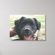 Rökflänsar för kameran