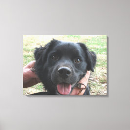 Rökflänsar för kameran canvastryck