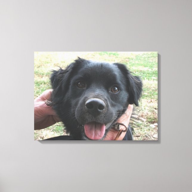 Rökflänsar för kameran canvastryck (Framsida)