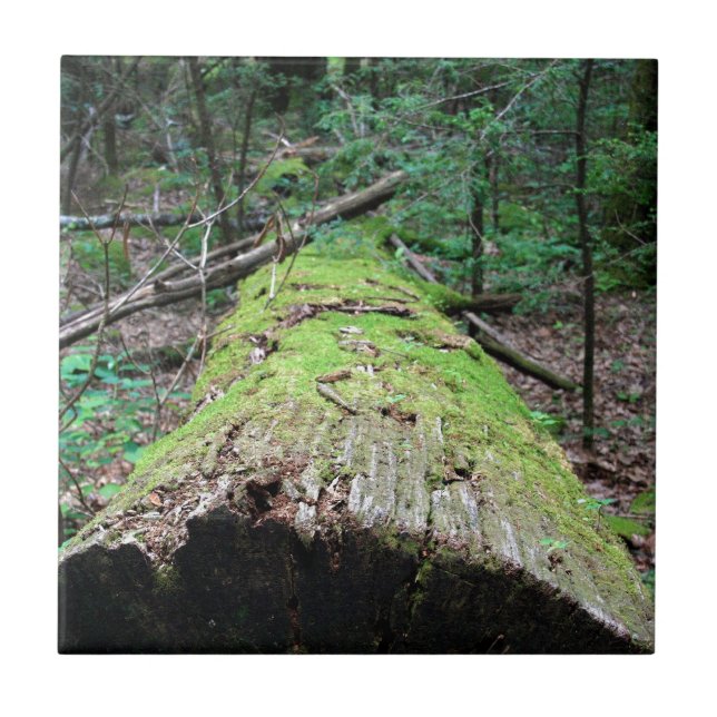 Rökiga berg kakelplatta (Framsidan)