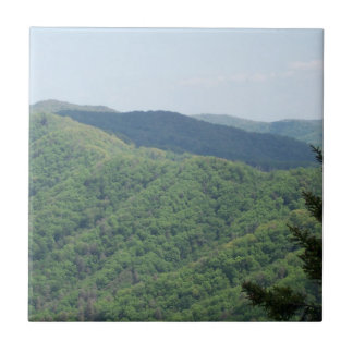 Rökiga bergen Trivet Kakel 1