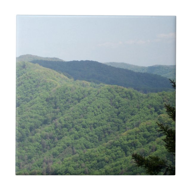 Rökiga bergen Trivet Kakel 1 (Framsidan)