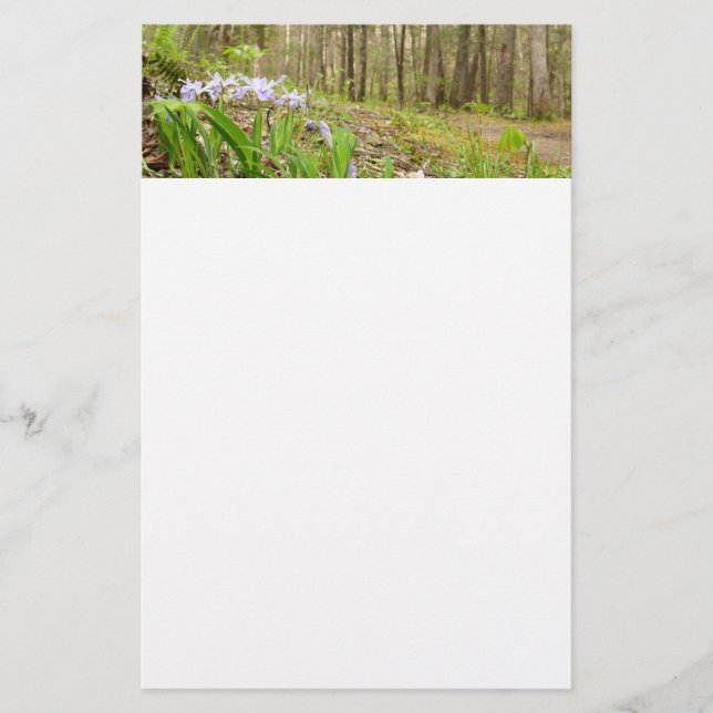 Rökiga bergsstigen på våren brevpapper (Framsida)