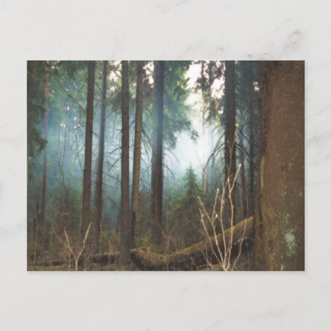 Rökigt skogs vykort (Framsida)