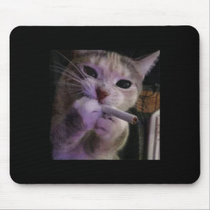 Rökkatt, Cigarette Kattunge Gen Z Meme, katt Musmatta