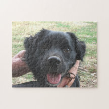 Rökknappar för kamera