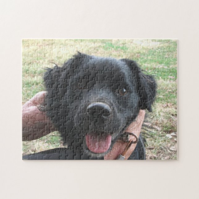 Rökknappar för kamera pussel (Horisontell)