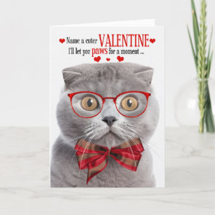 Rökning Scottish Fold Cat Valentine Kattdjur Humor Helgkort