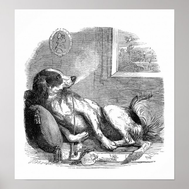 Rökrör 11 x 8,5 tum, Poster Pappert (projektionsyt (Framsidan)