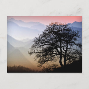 Röksiga Mountain Sunset Blue Ridge Parkway Photo Vykort