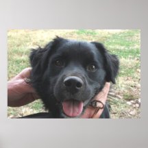 Rökspetsar för kameran