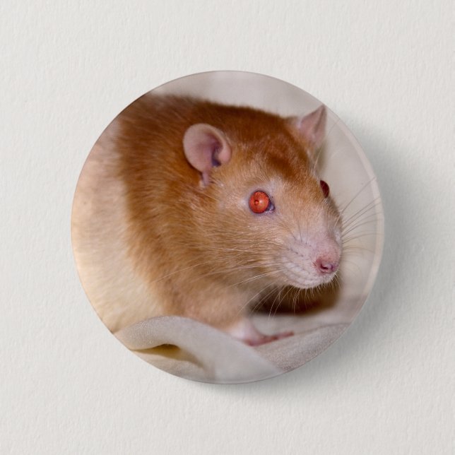 Rolando Badge Knapp (Framsida)