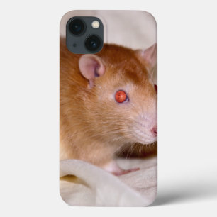 Rolando iPad-fodral