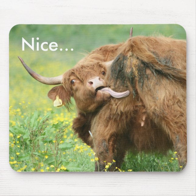 Rolig Aberdeen Angus ko Mousepad/Mousemat Musmatta (Framsidan)