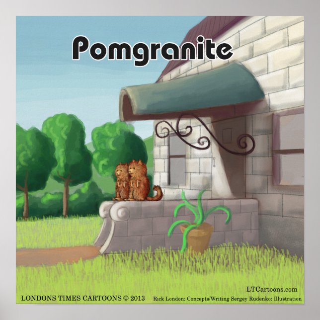 Rolig affisch med pomeranian på granit (PomGranite (Framsidan)