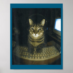 Rolig Allvarlig Spelare Kattälskare Avelshane Kitt Poster