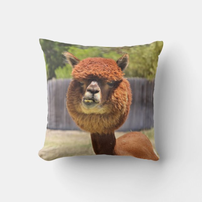 Rolig Alpaca Kastkudde Kudde (Framsida)