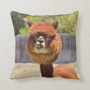 Rolig Alpaca Kastkudde Kudde