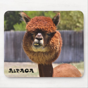 Rolig Alpaca Mousepad Musmatta