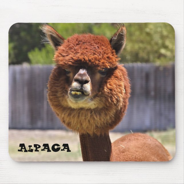 Rolig Alpaca Mousepad Musmatta (Framsidan)