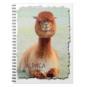 Rolig Alpacaanteckningsbok Anteckningsbok Med Spiral
