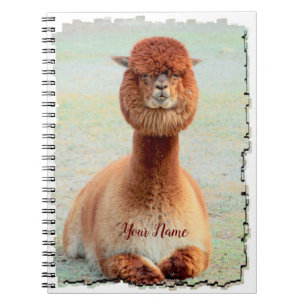 Rolig Alpacafotoanteckningsbok Anteckningsbok
