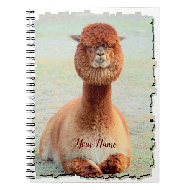 Rolig Alpacafotoanteckningsbok Anteckningsbok (Framsidan)