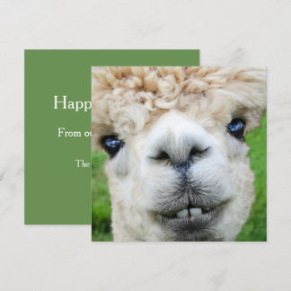 Rolig Alpacajulkort Inbjudningar