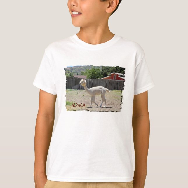 Rolig AlpacaT-tröja Tee Shirt (Framsida)
