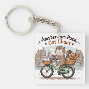 Rolig Amsterdam Katt