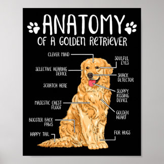 Rolig anatomi golden retriever hundälskare poster