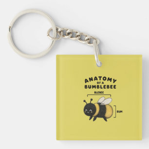 Rolig Anatomi Hos En Humla Blebee Bum Söt